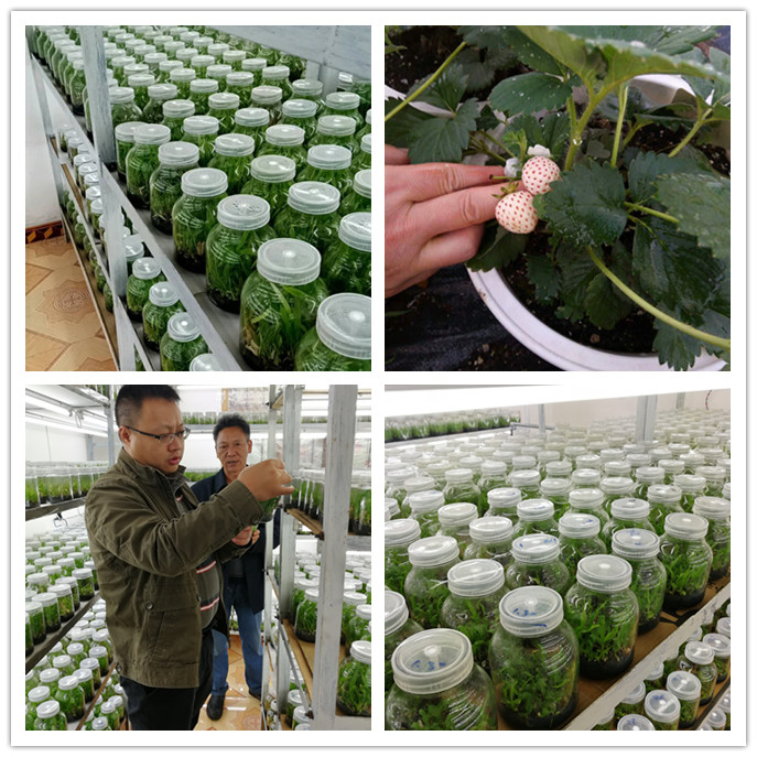 bti体育平台·(中国)官方网站