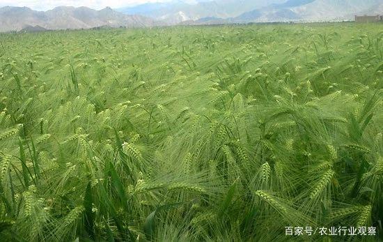 bti体育平台·(中国)官方网站