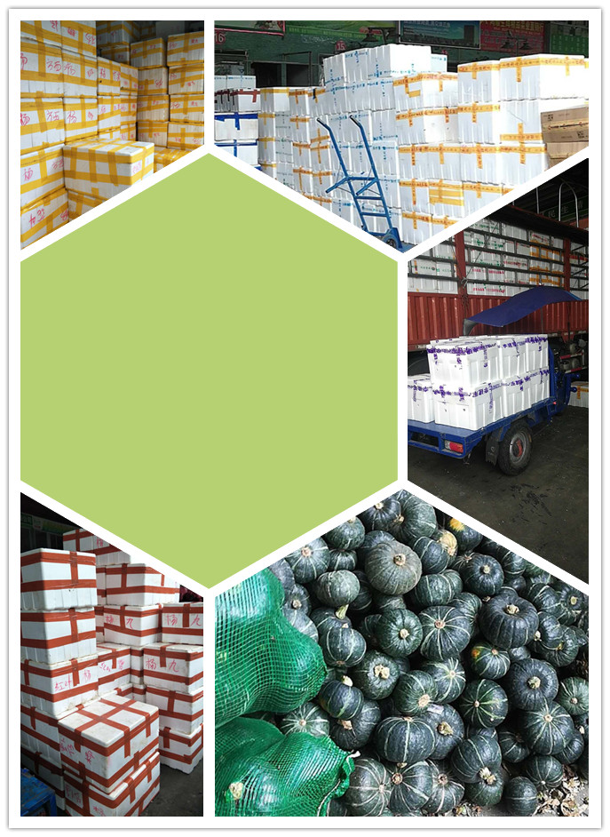 bti体育平台·(中国)官方网站