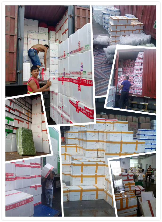 bti体育平台·(中国)官方网站