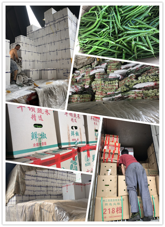 bti体育平台·(中国)官方网站