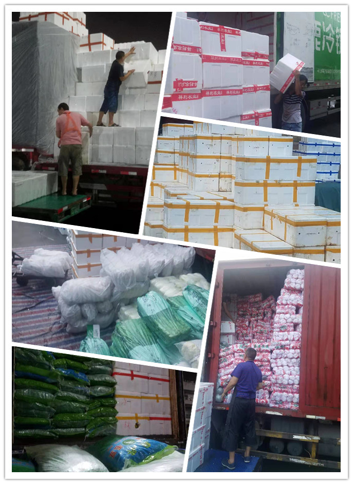 bti体育平台·(中国)官方网站