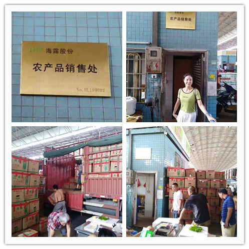 bti体育平台·(中国)官方网站