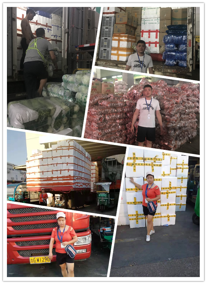 bti体育平台·(中国)官方网站