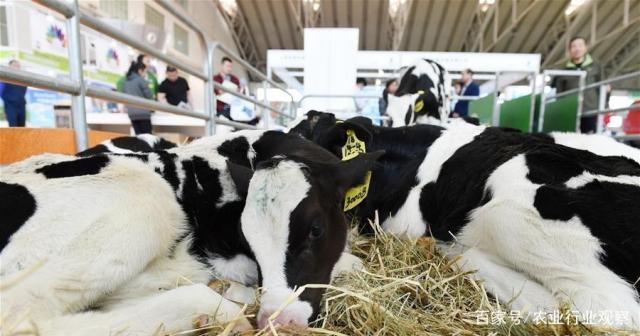 bti体育平台·(中国)官方网站