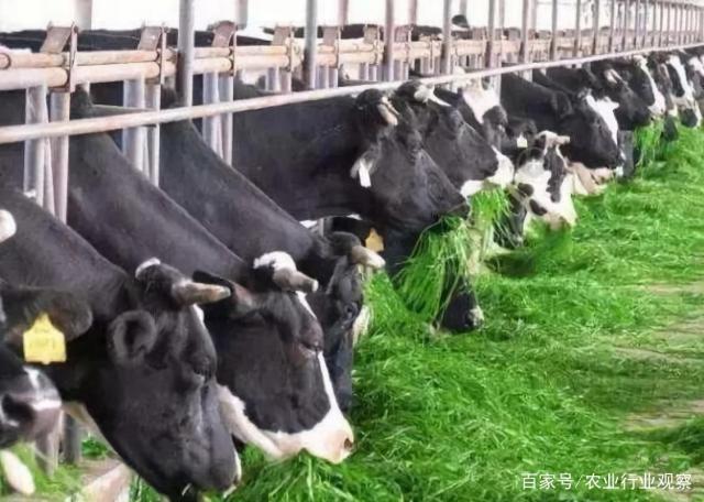 bti体育平台·(中国)官方网站