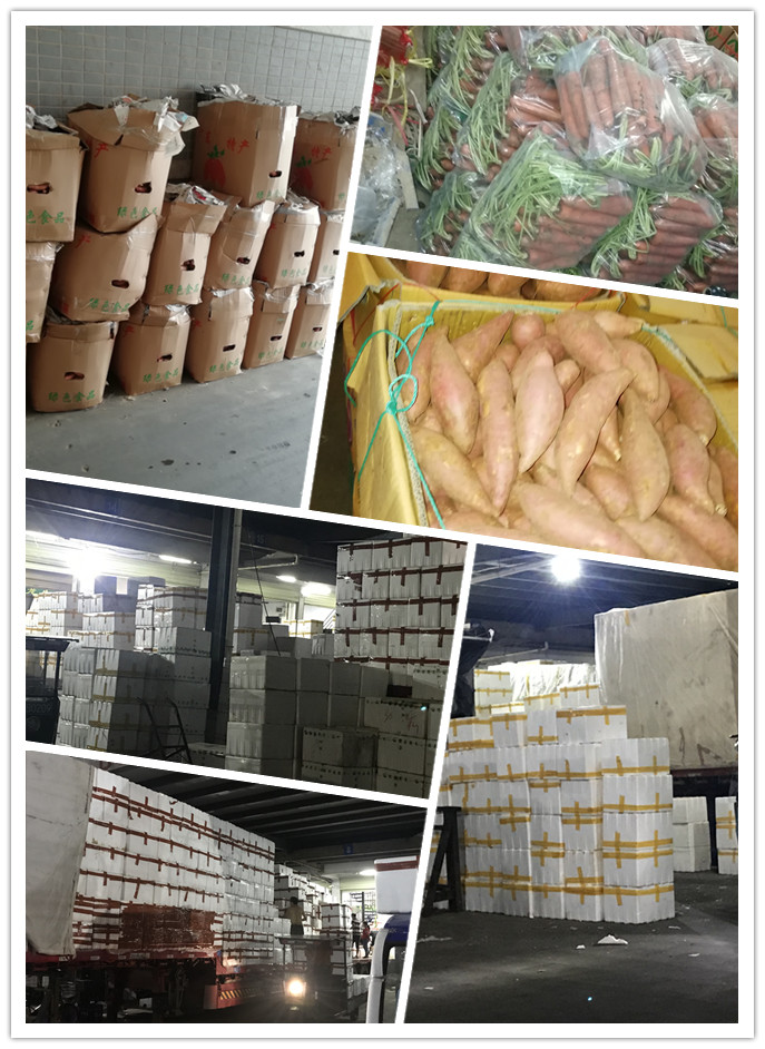 bti体育平台·(中国)官方网站