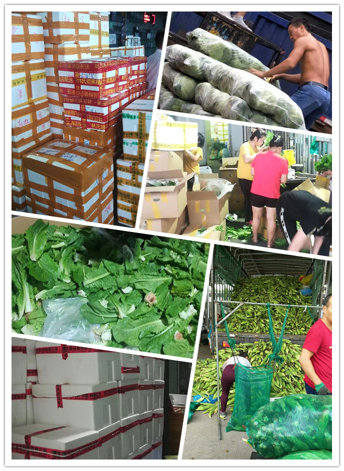 bti体育平台·(中国)官方网站