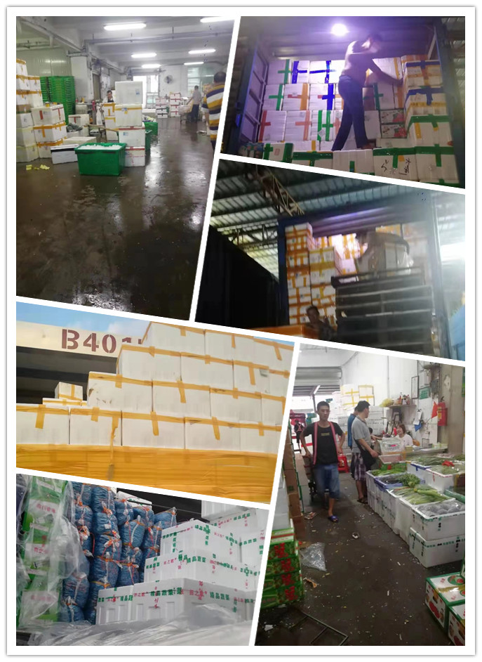 bti体育平台·(中国)官方网站