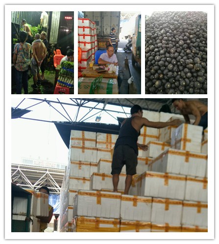 bti体育平台·(中国)官方网站