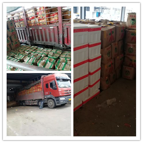 bti体育平台·(中国)官方网站