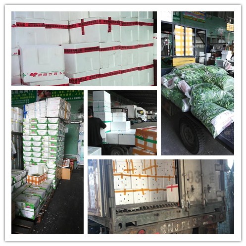 bti体育平台·(中国)官方网站