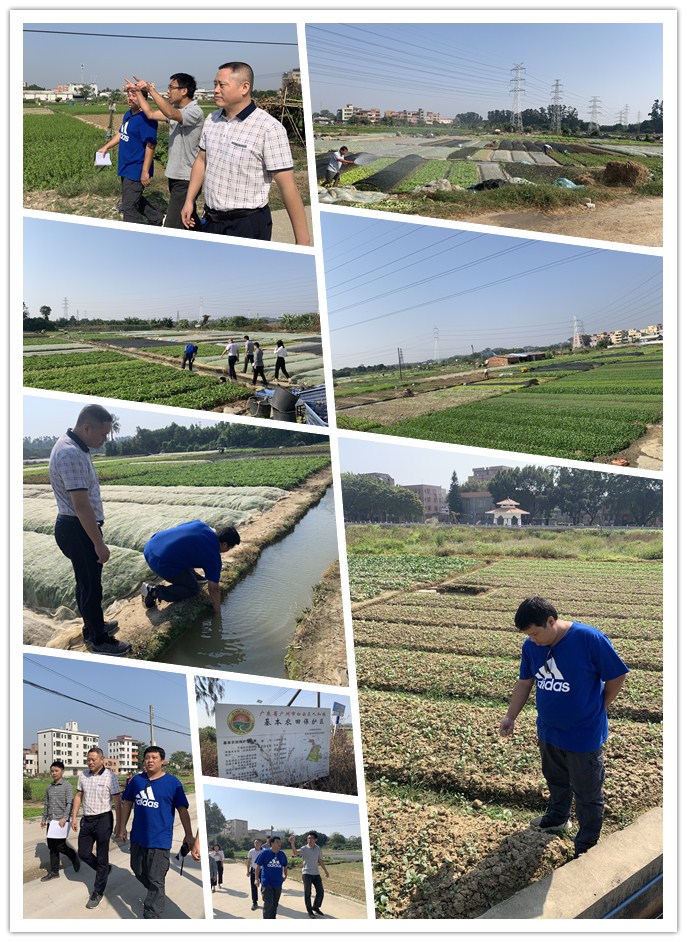 bti体育平台·(中国)官方网站