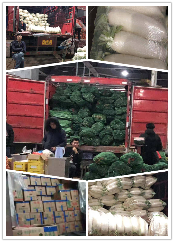 bti体育平台·(中国)官方网站