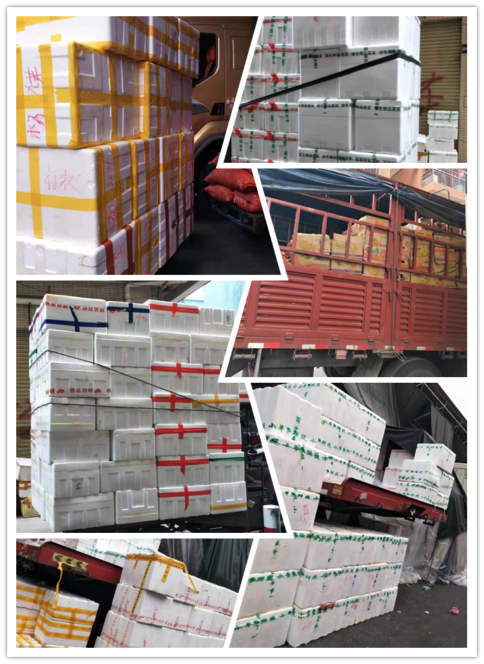 bti体育平台·(中国)官方网站