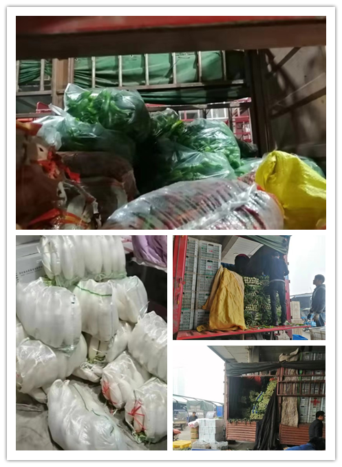 bti体育平台·(中国)官方网站