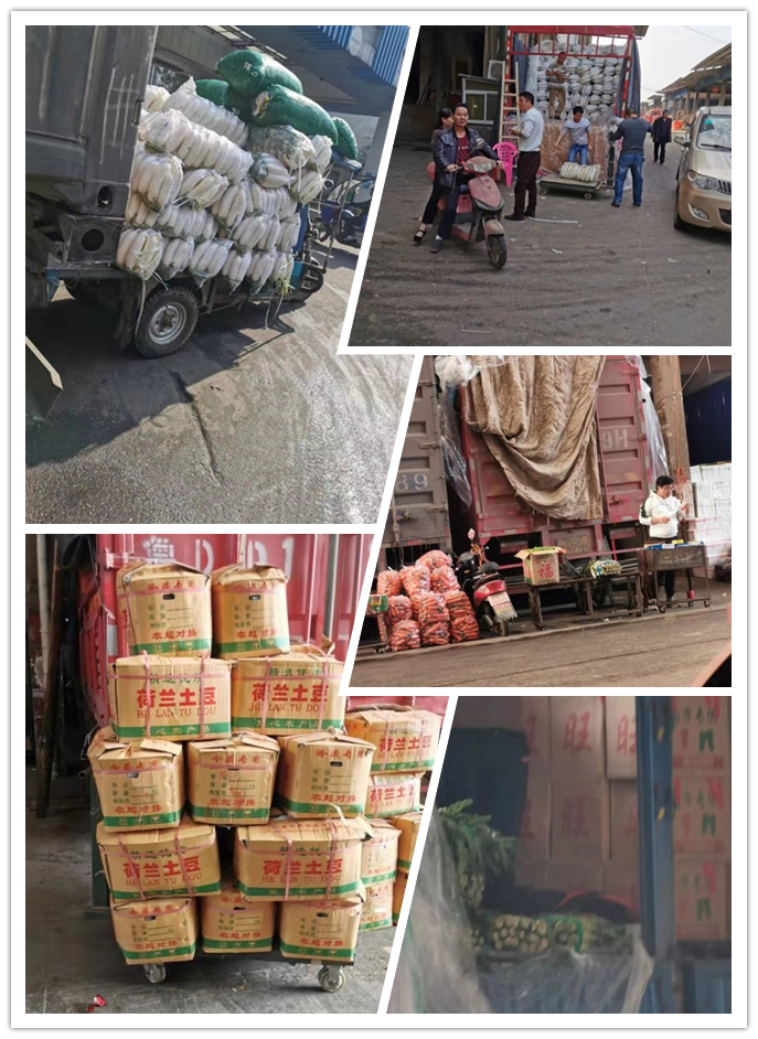 bti体育平台·(中国)官方网站