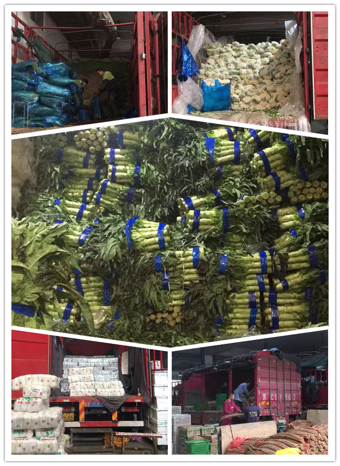 bti体育平台·(中国)官方网站