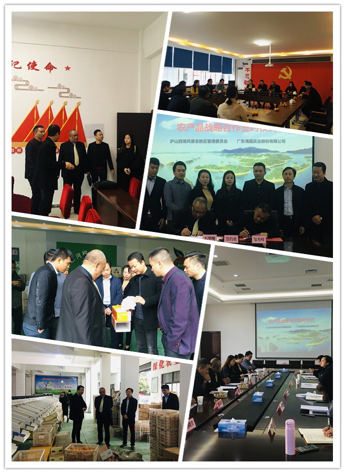 bti体育平台·(中国)官方网站