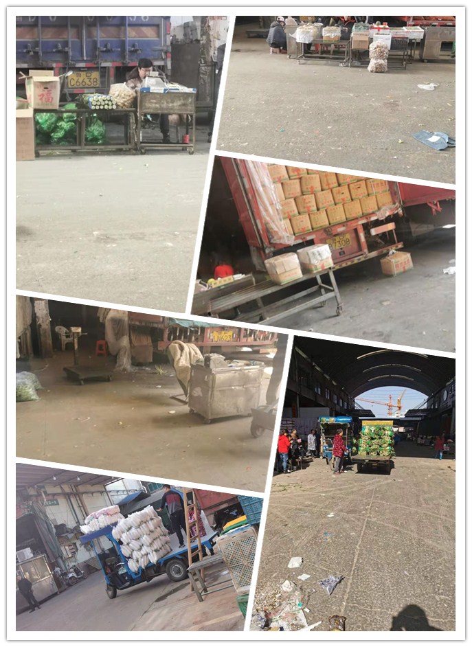 bti体育平台·(中国)官方网站