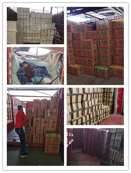 bti体育平台·(中国)官方网站