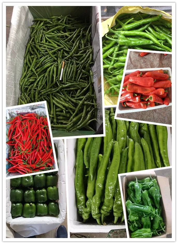 bti体育平台·(中国)官方网站