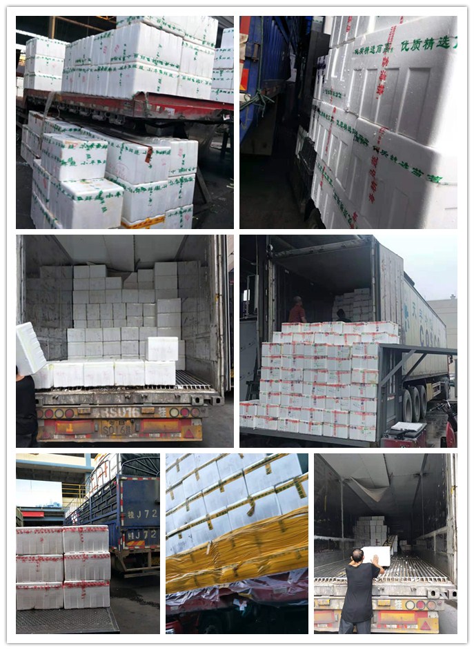 bti体育平台·(中国)官方网站