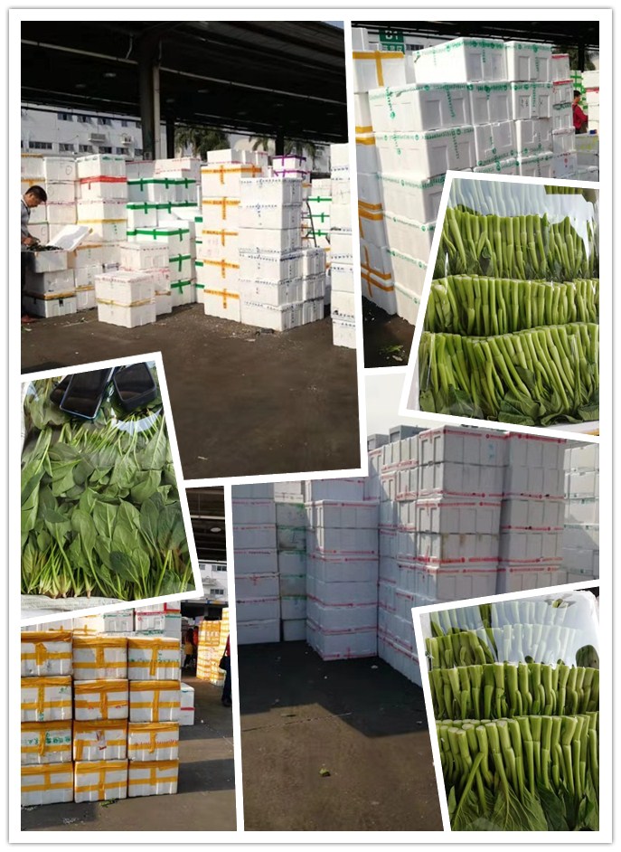 bti体育平台·(中国)官方网站