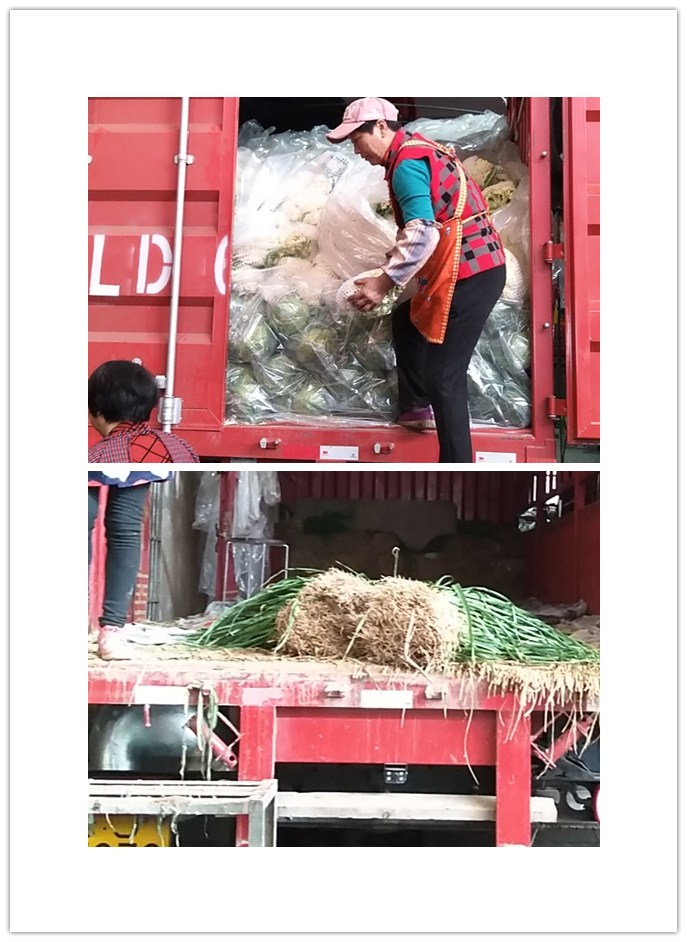 bti体育平台·(中国)官方网站