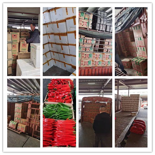 bti体育平台·(中国)官方网站