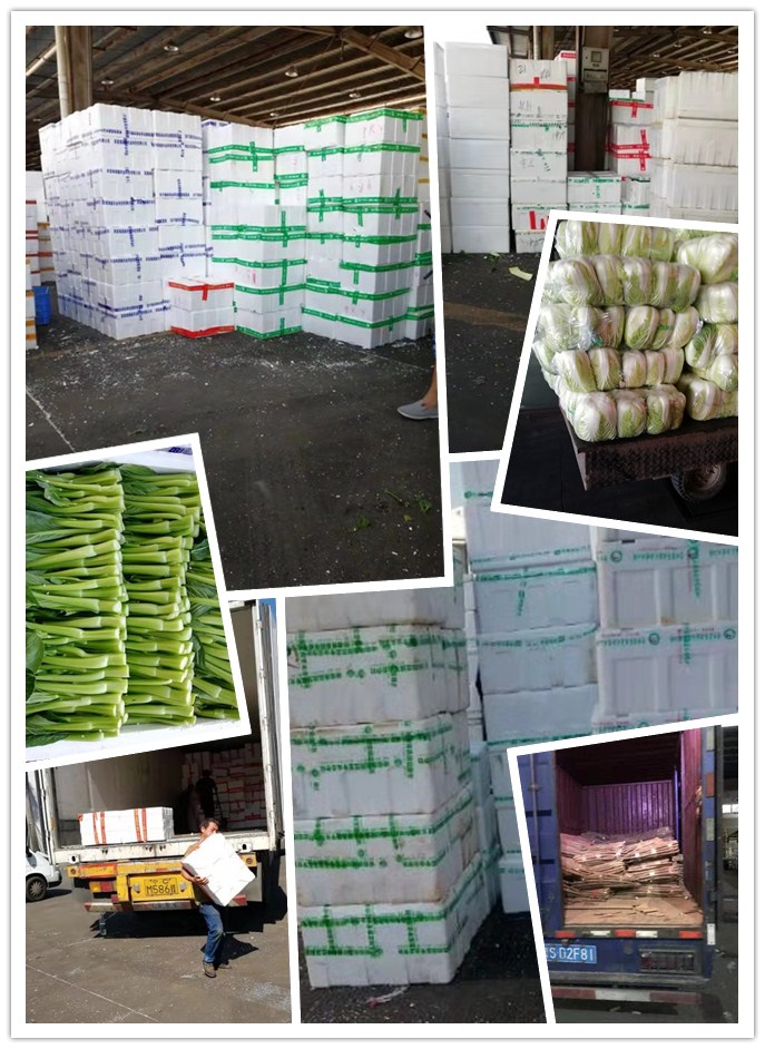 bti体育平台·(中国)官方网站