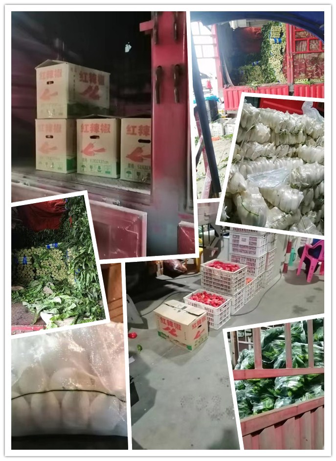 bti体育平台·(中国)官方网站