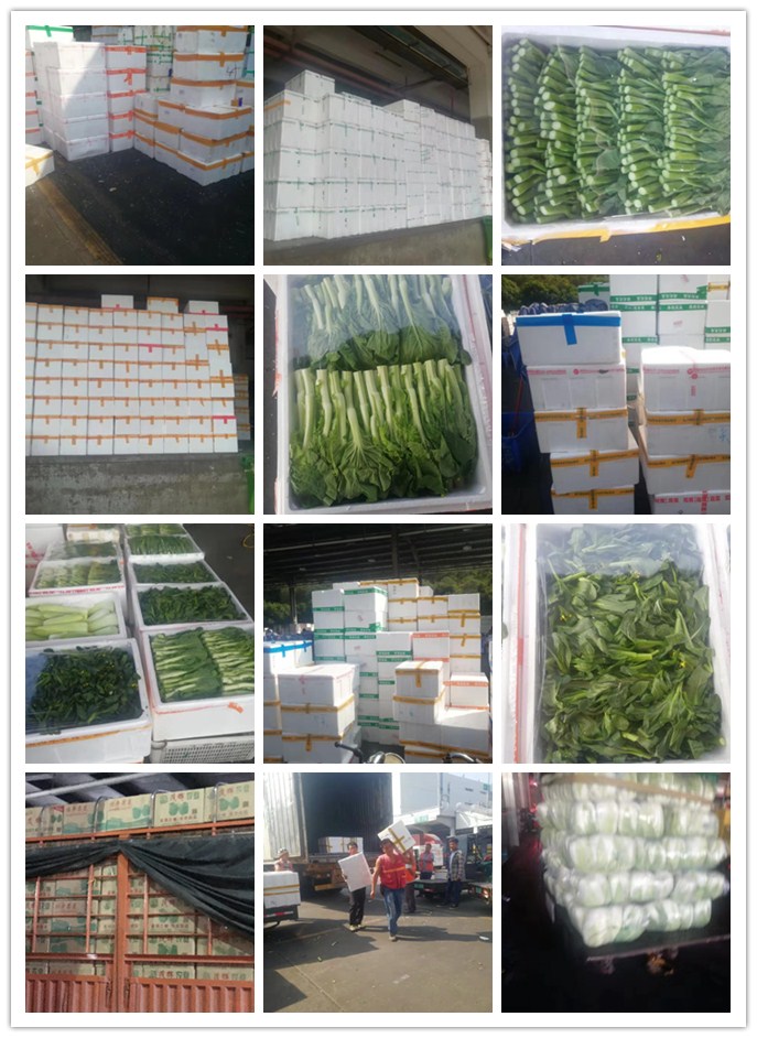 bti体育平台·(中国)官方网站