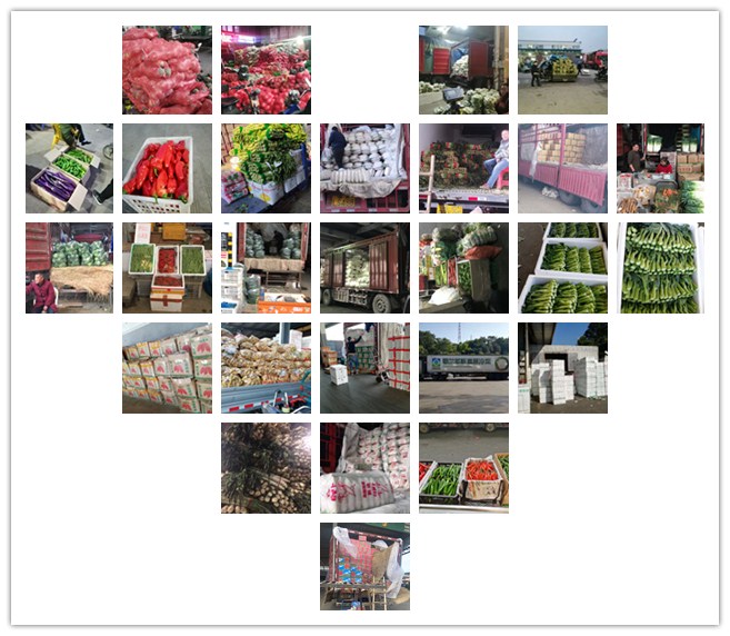 bti体育平台·(中国)官方网站