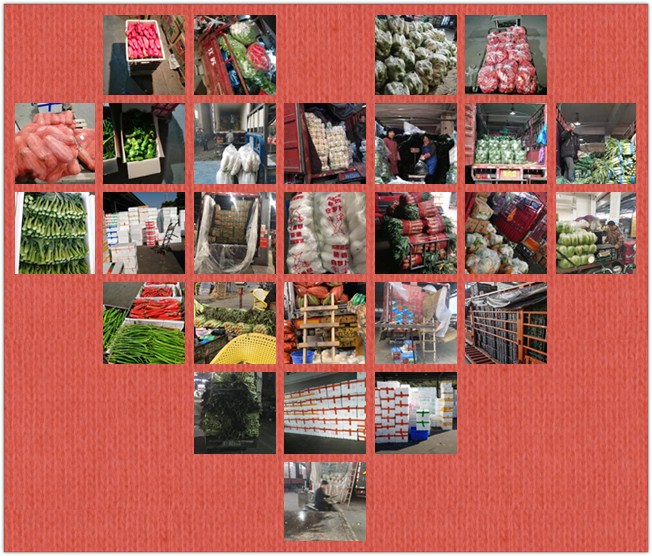 bti体育平台·(中国)官方网站