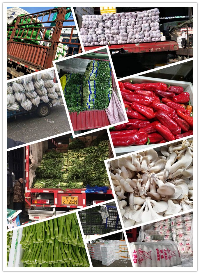 bti体育平台·(中国)官方网站