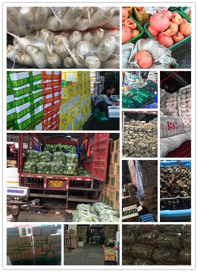 bti体育平台·(中国)官方网站