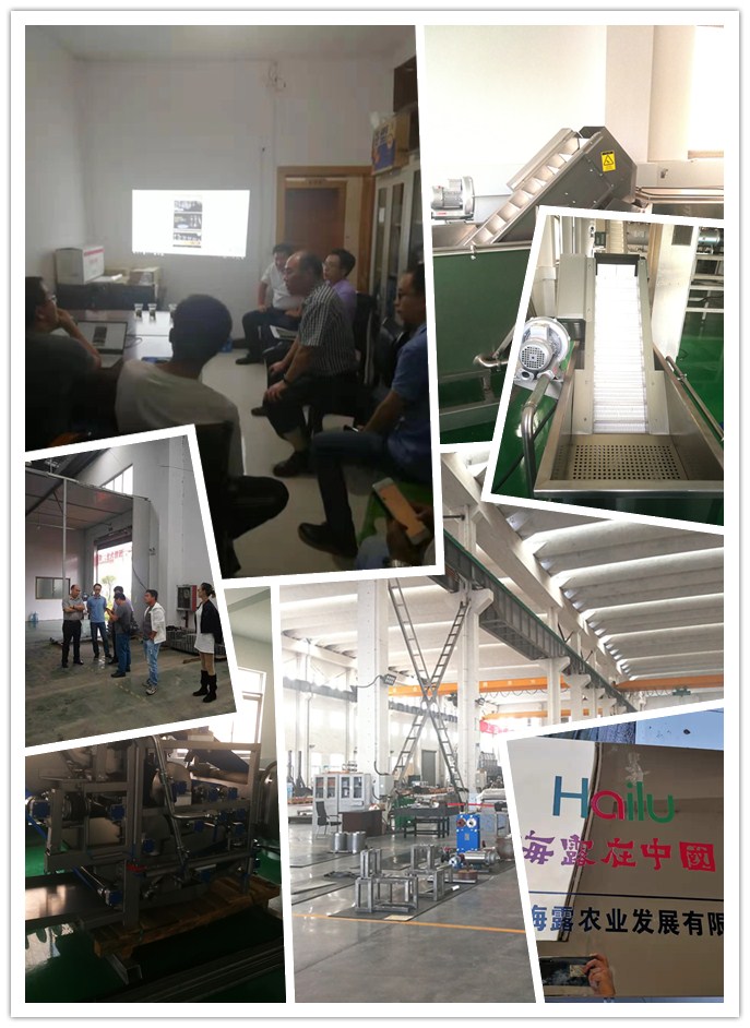 bti体育平台·(中国)官方网站