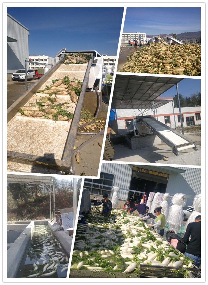 bti体育平台·(中国)官方网站