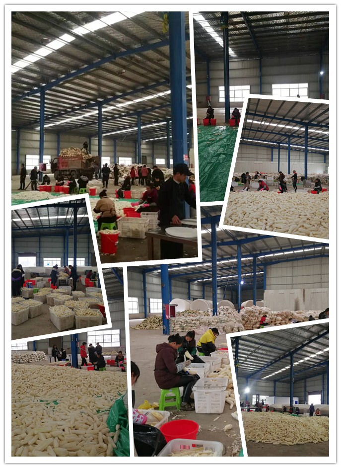 bti体育平台·(中国)官方网站