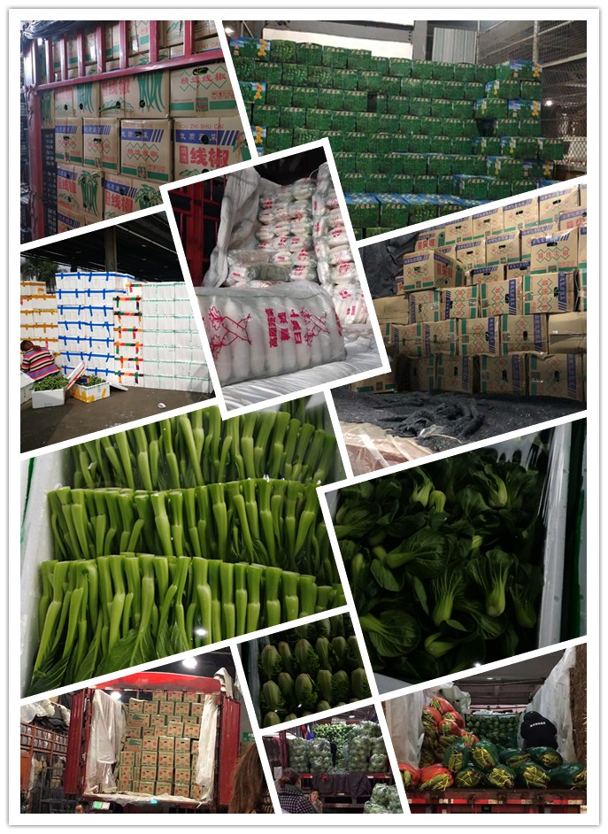 bti体育平台·(中国)官方网站