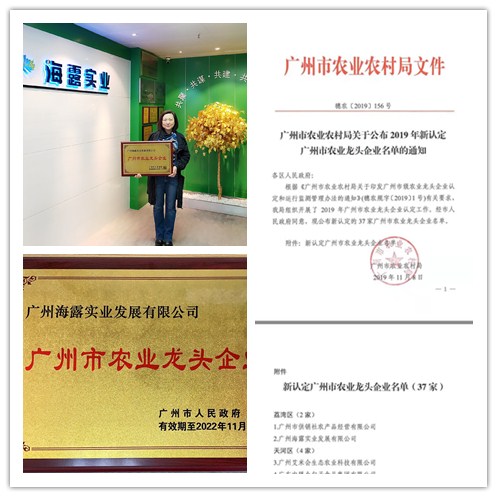 bti体育平台·(中国)官方网站