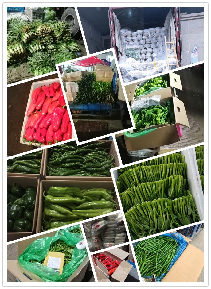 bti体育平台·(中国)官方网站