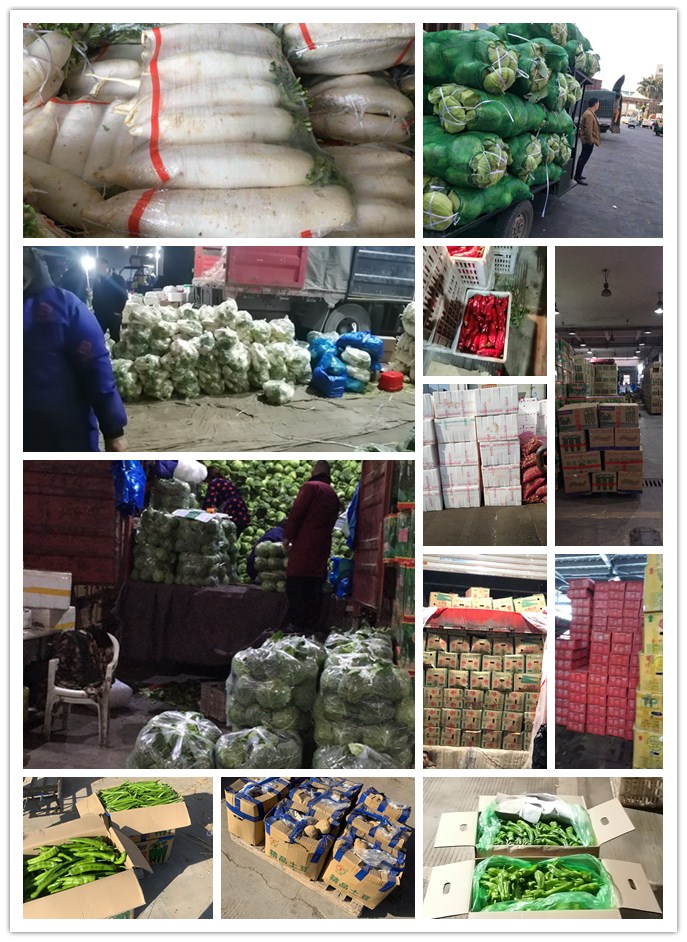 bti体育平台·(中国)官方网站