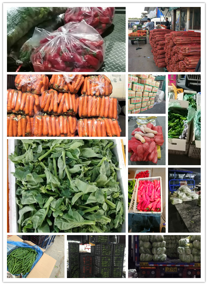 bti体育平台·(中国)官方网站