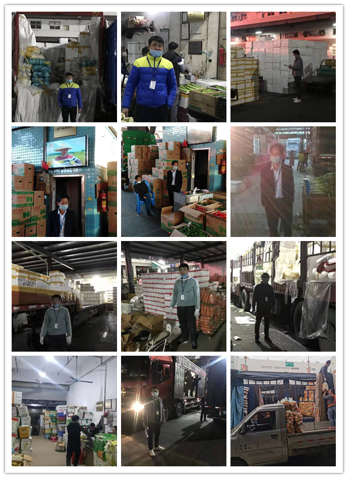 bti体育平台·(中国)官方网站