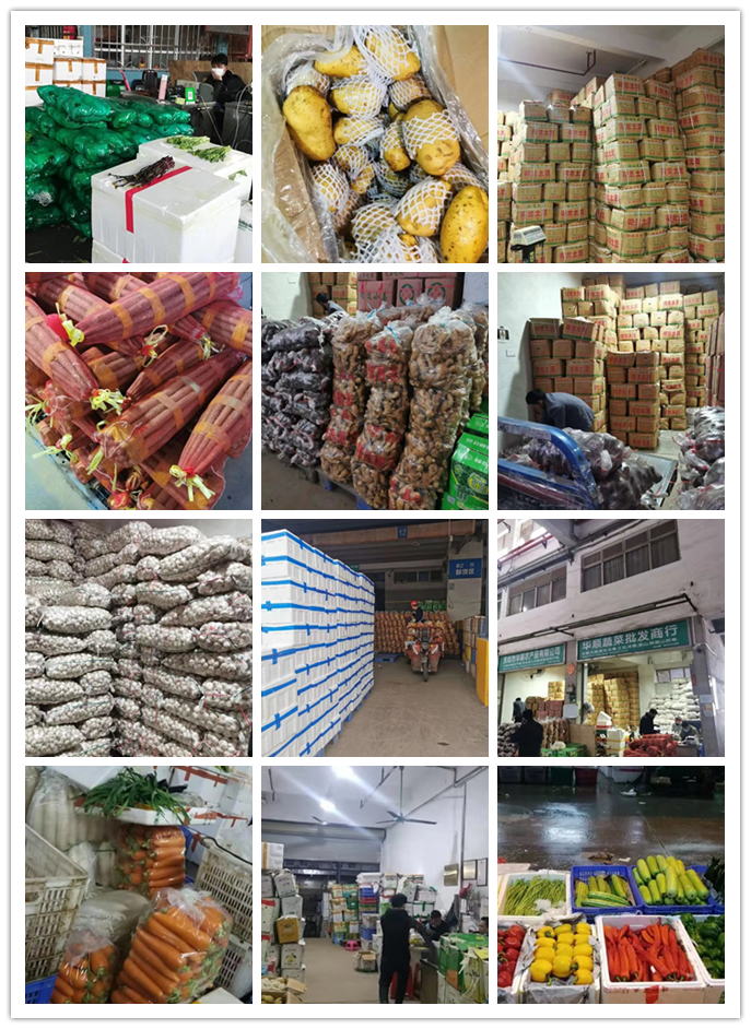 bti体育平台·(中国)官方网站