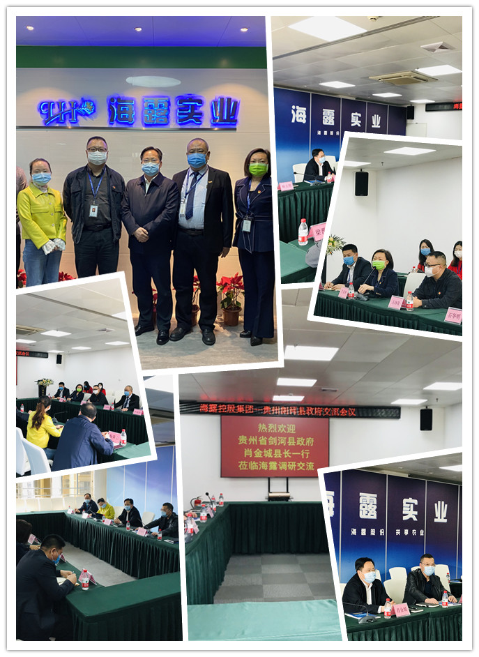 bti体育平台·(中国)官方网站