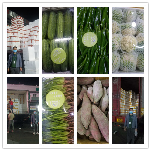 bti体育平台·(中国)官方网站