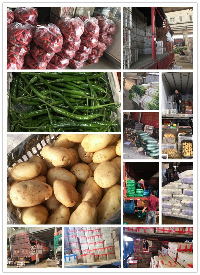 bti体育平台·(中国)官方网站